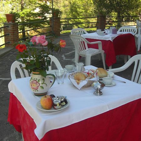 Hotel Il Poggetto Castellina Marittima Zewnętrze zdjęcie