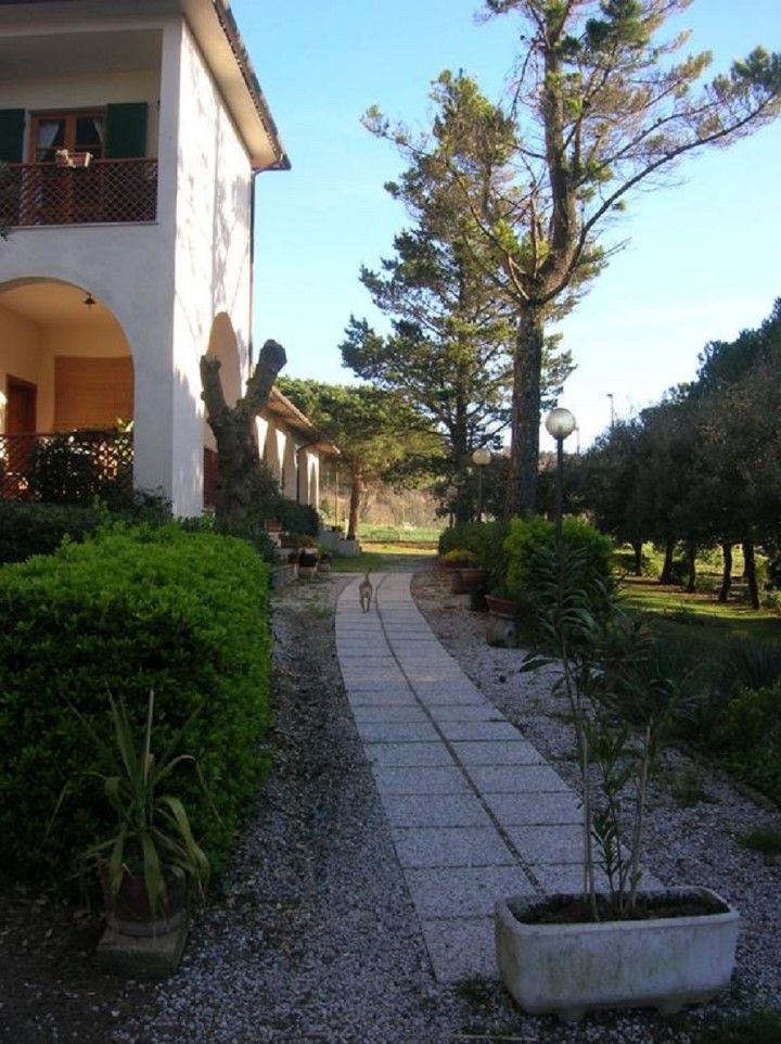 Hotel Il Poggetto Castellina Marittima Zewnętrze zdjęcie